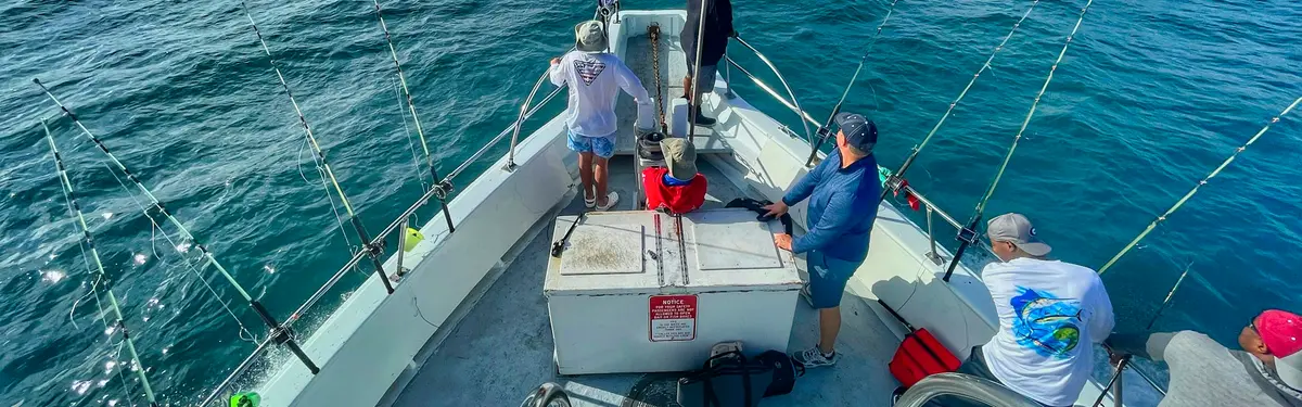 people riding on white boat during daytime