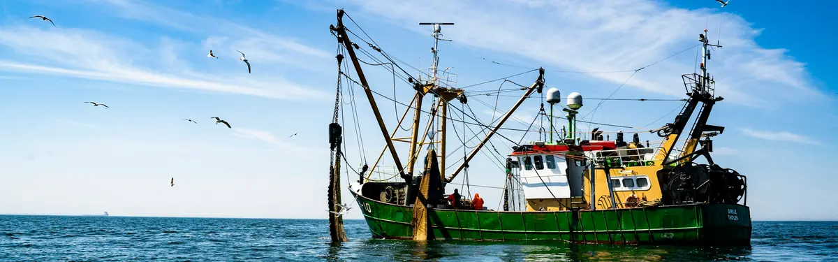 green and brown boat on sea under blue sky during daytime